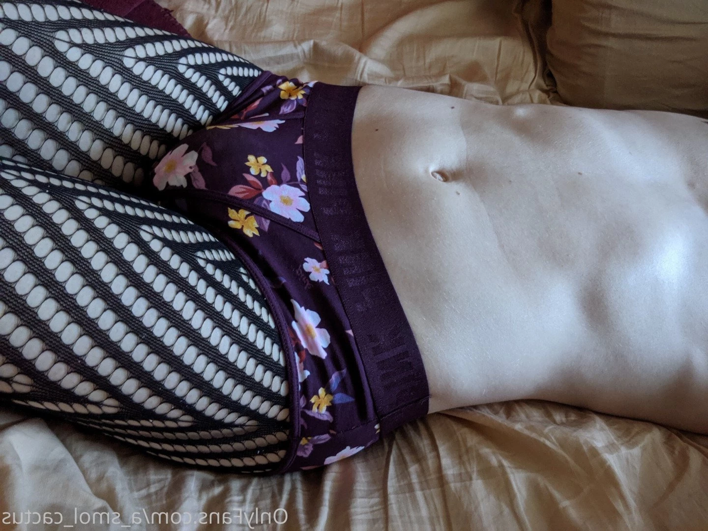 A Smol Cactus [ asmolcactus ] Onlyfans leaked photo 3745851 on Hotleaks.tv