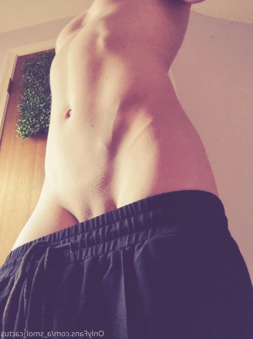 A Smol Cactus [ asmolcactus ] Onlyfans leaked photo 3747243 on Hotleaks.tv