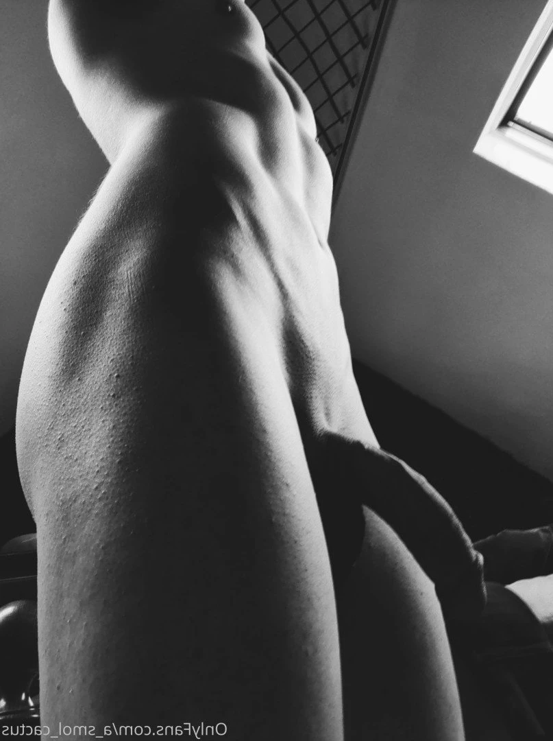 A Smol Cactus [ asmolcactus ] Onlyfans leaked photo 3748348 on Hotleaks.tv