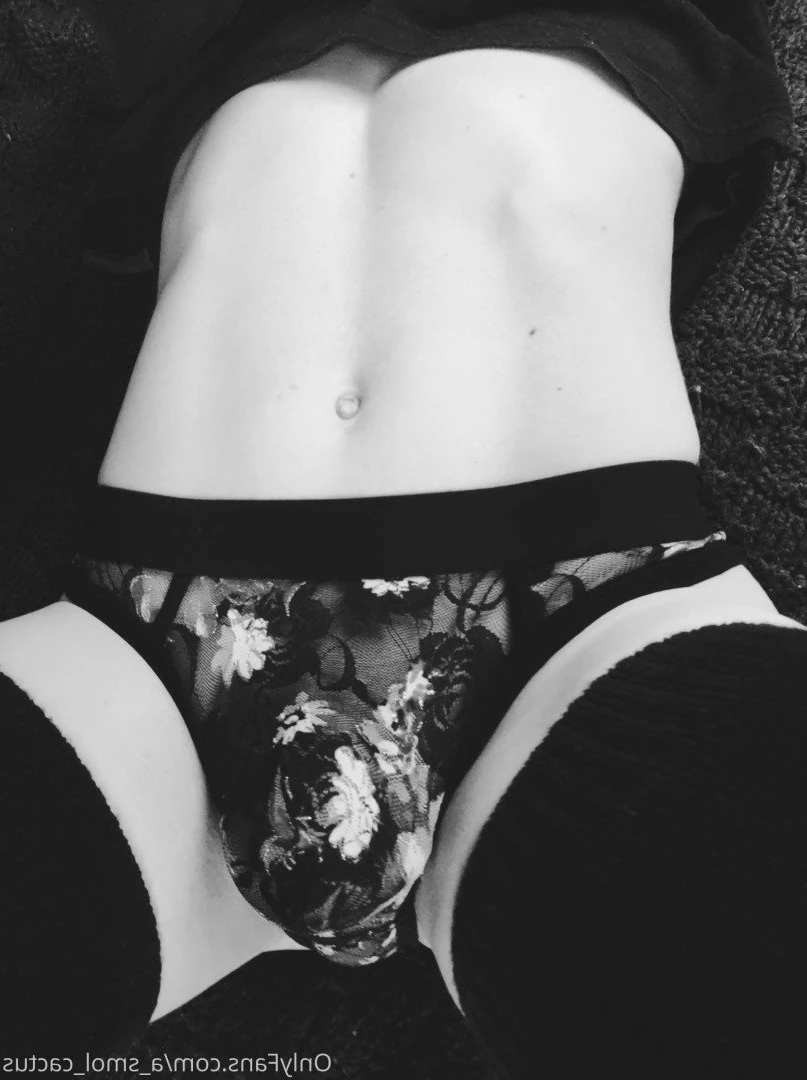 A Smol Cactus [ asmolcactus ] Onlyfans leaked photo 3750685 on Hotleaks.tv