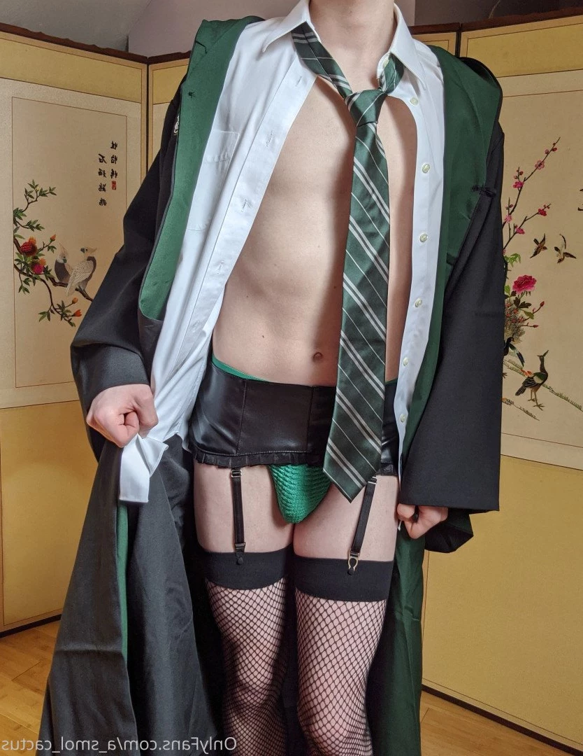 A Smol Cactus [ asmolcactus ] Onlyfans leaked photo 3760704 on Hotleaks.tv