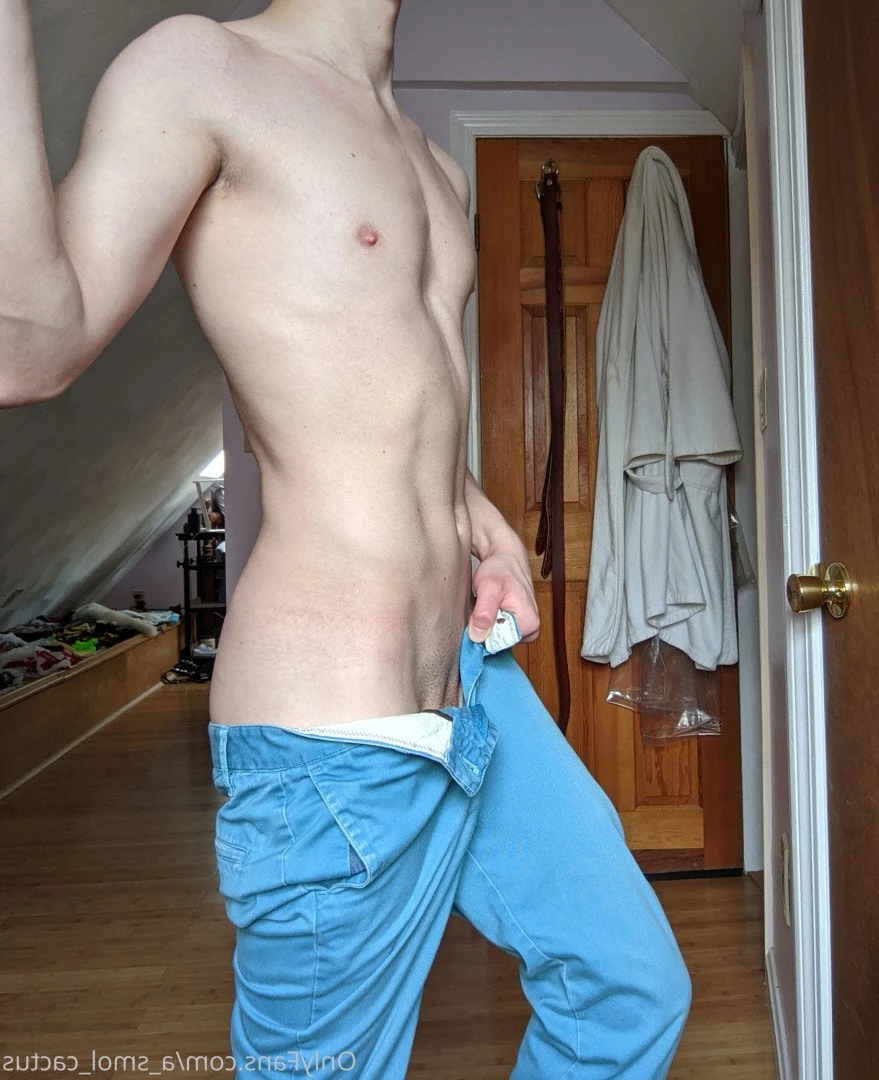 A Smol Cactus [ asmolcactus ] Onlyfans leaked photo 3762014 on Hotleaks.tv