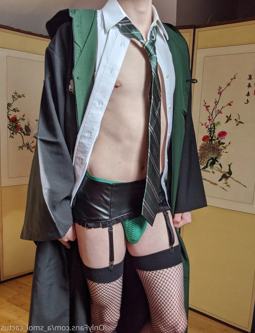 A Smol Cactus [ asmolcactus ] Onlyfans leaked photo 3770952 on Hotleaks.tv