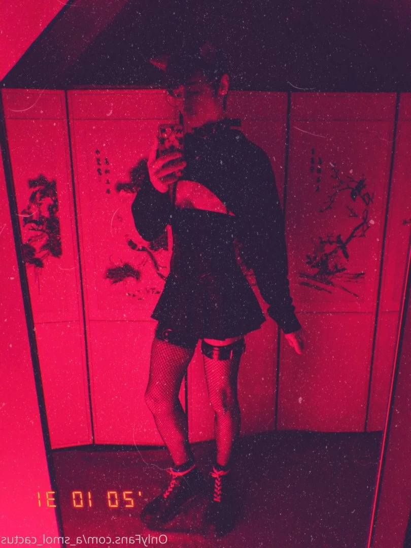 A Smol Cactus [ asmolcactus ] Onlyfans leaked photo 3771262 on Hotleaks.tv