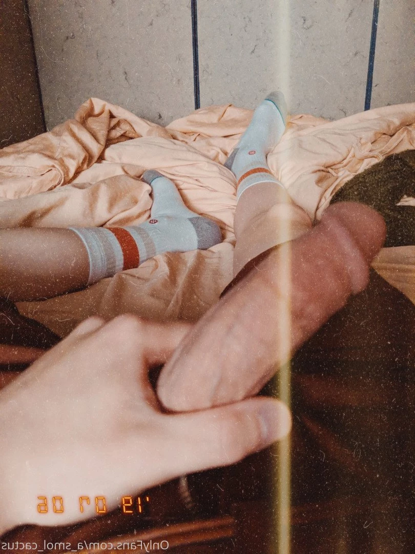 A Smol Cactus [ asmolcactus ] Onlyfans leaked photo 3771568 on Hotleaks.tv
