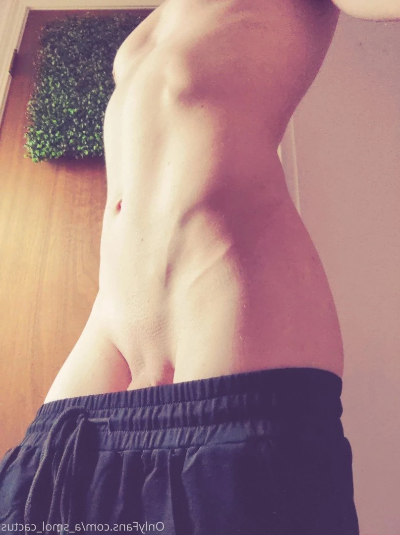 A Smol Cactus [ asmolcactus ] Onlyfans leaked photo 3774547 on Hotleaks.tv