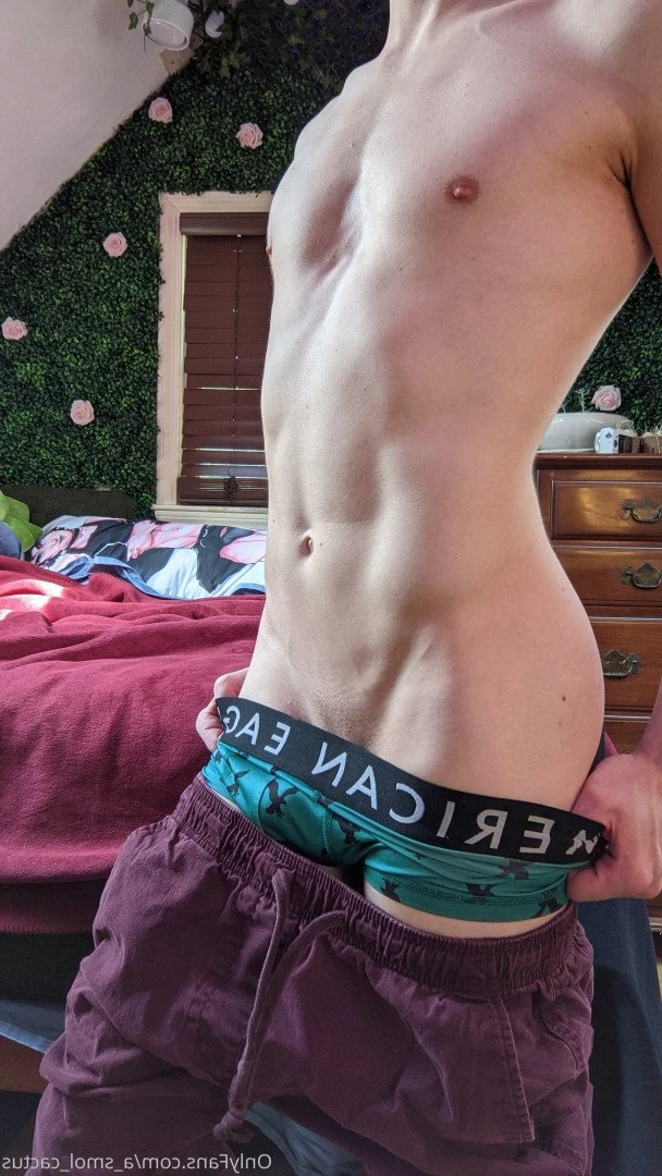 A Smol Cactus [ asmolcactus ] Onlyfans leaked photo 3777423 on Hotleaks.tv