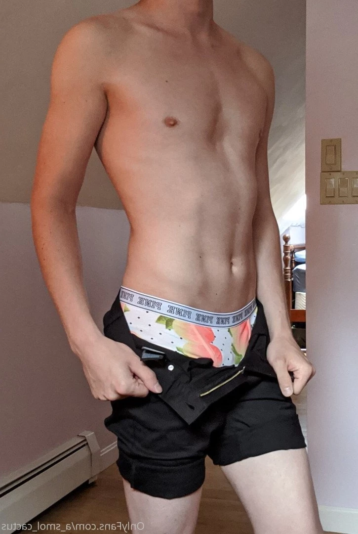A Smol Cactus [ asmolcactus ] Onlyfans leaked photo 3778911 on Hotleaks.tv