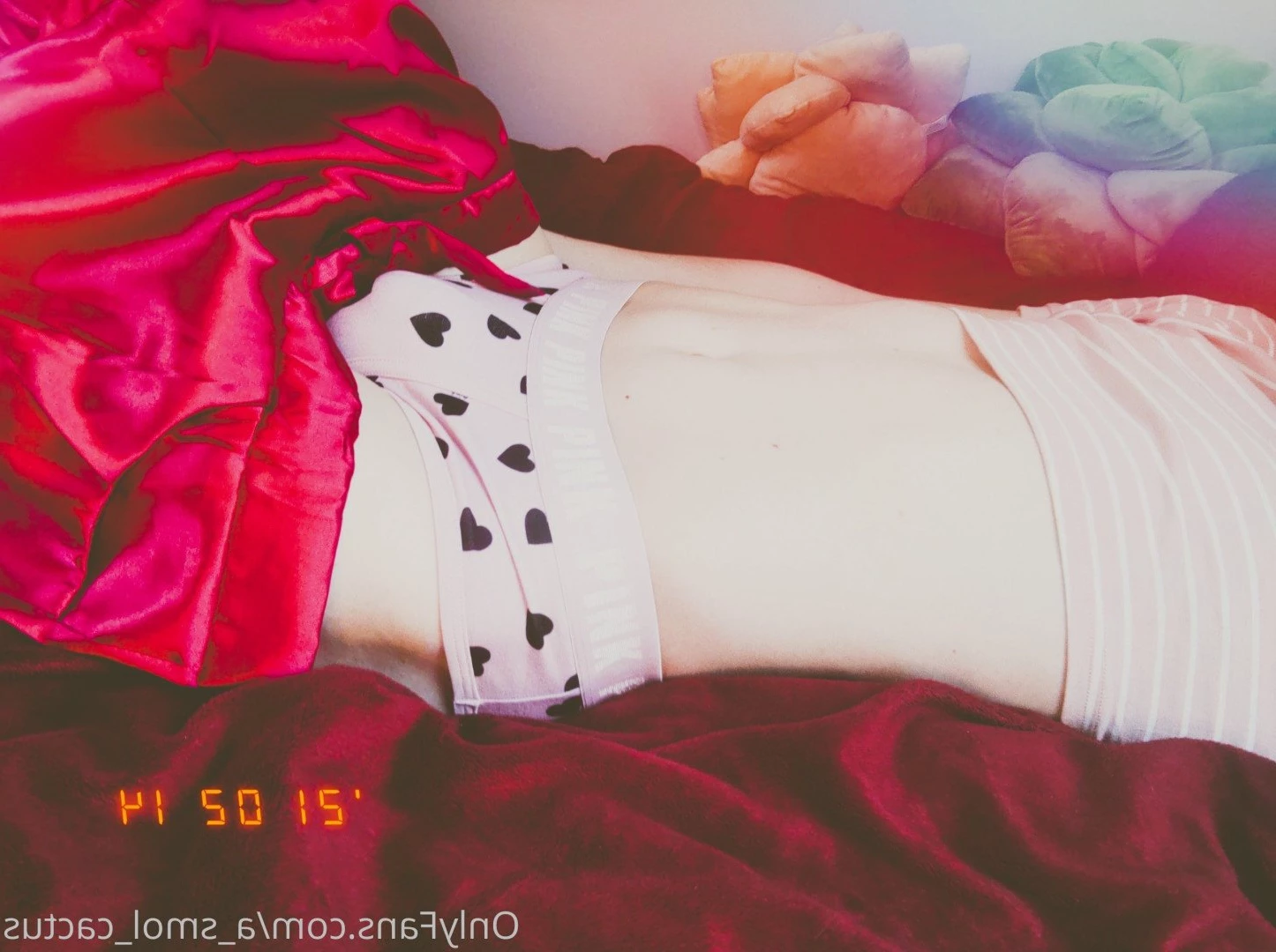 A Smol Cactus [ asmolcactus ] Onlyfans leaked photo 3779214 on Hotleaks.tv