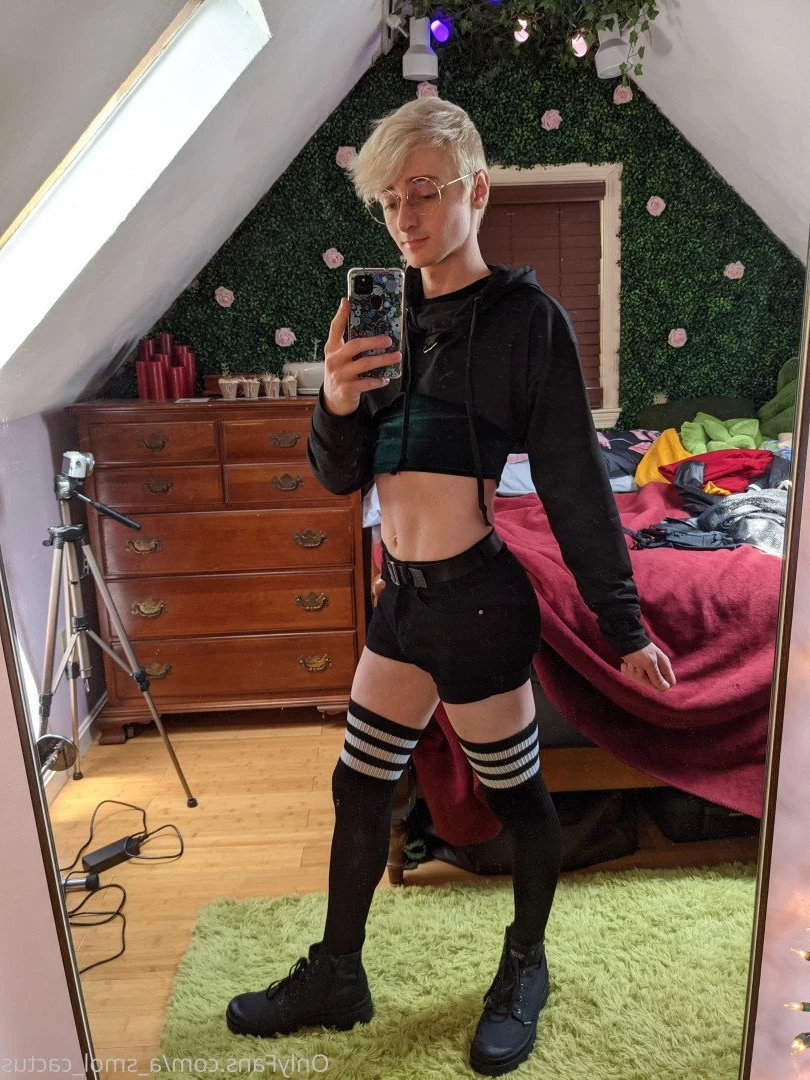 A Smol Cactus [ asmolcactus ] Onlyfans leaked photo 3779618 on Hotleaks.tv