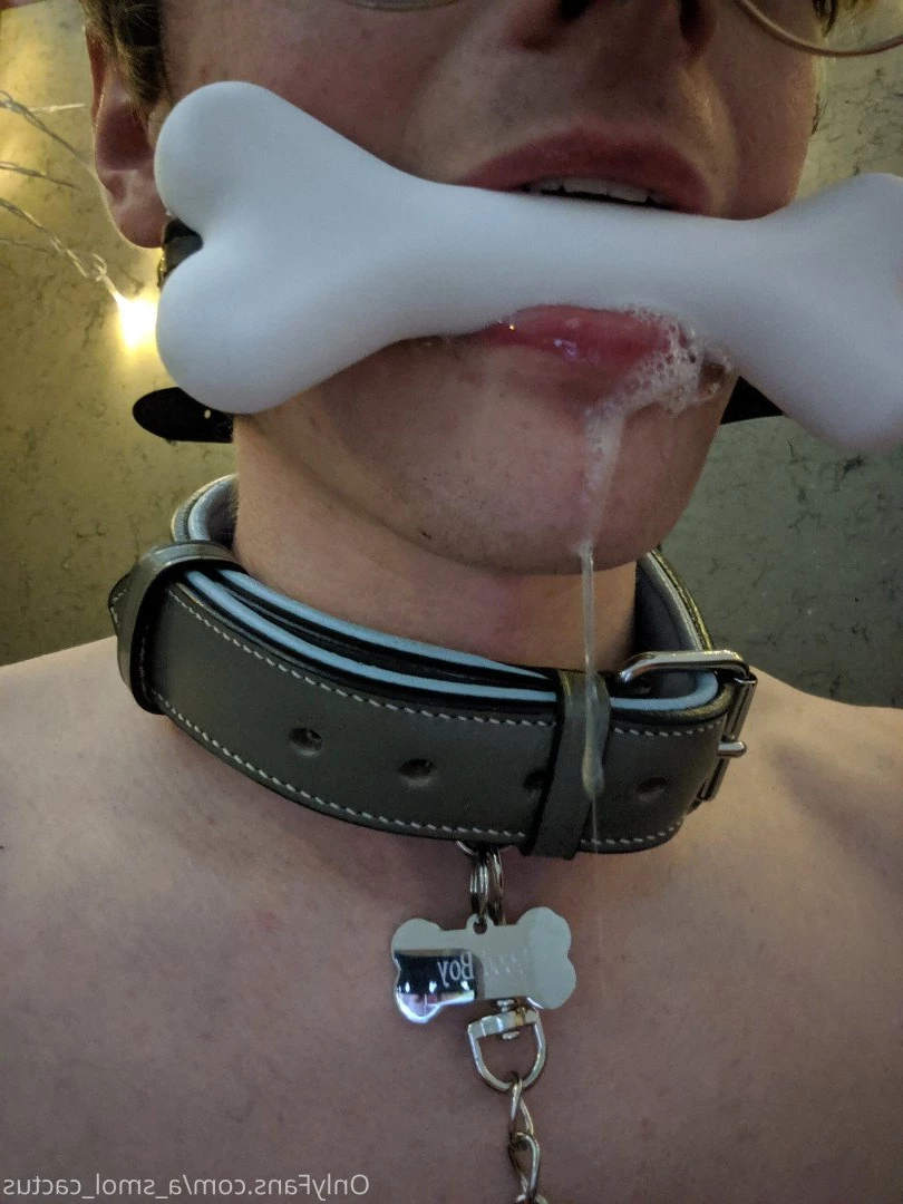 A Smol Cactus [ asmolcactus ] Onlyfans leaked photo 3784669 on Hotleaks.tv