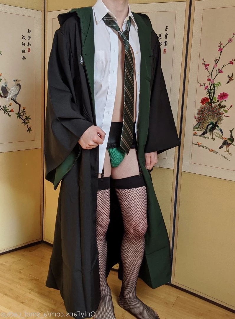A Smol Cactus [ asmolcactus ] Onlyfans leaked photo 3785266 on Hotleaks.tv