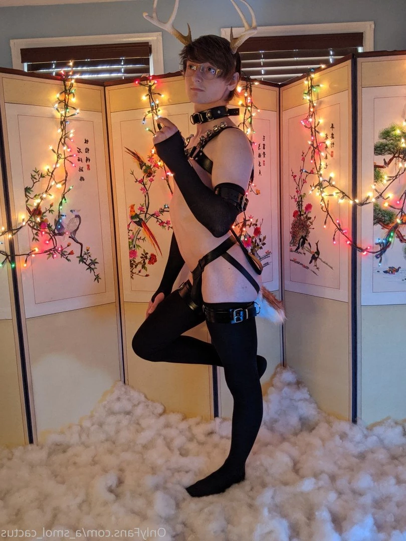 A Smol Cactus [ asmolcactus ] Onlyfans leaked photo 3790322 on Hotleaks.tv