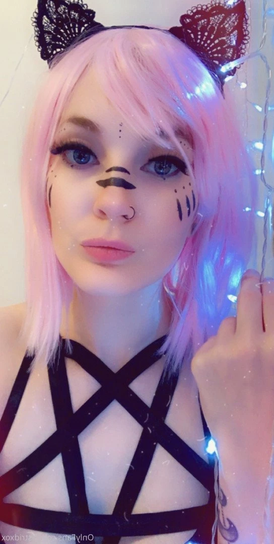 Pumpkin Bby Free [ pumpkinbbyfree ] Onlyfans leaked photo 3462133 on Hotleaks.tv