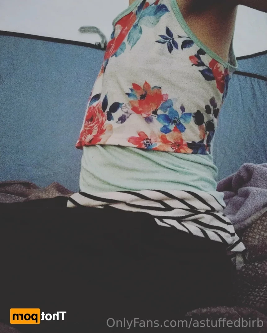 Birdy [ astuffedbirb ] Onlyfans leaked photo 14621993 on Hotleaks.tv