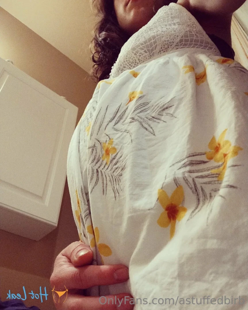 Birdy [ astuffedbirb ] Onlyfans leaked photo 14622007 on Hotleaks.tv