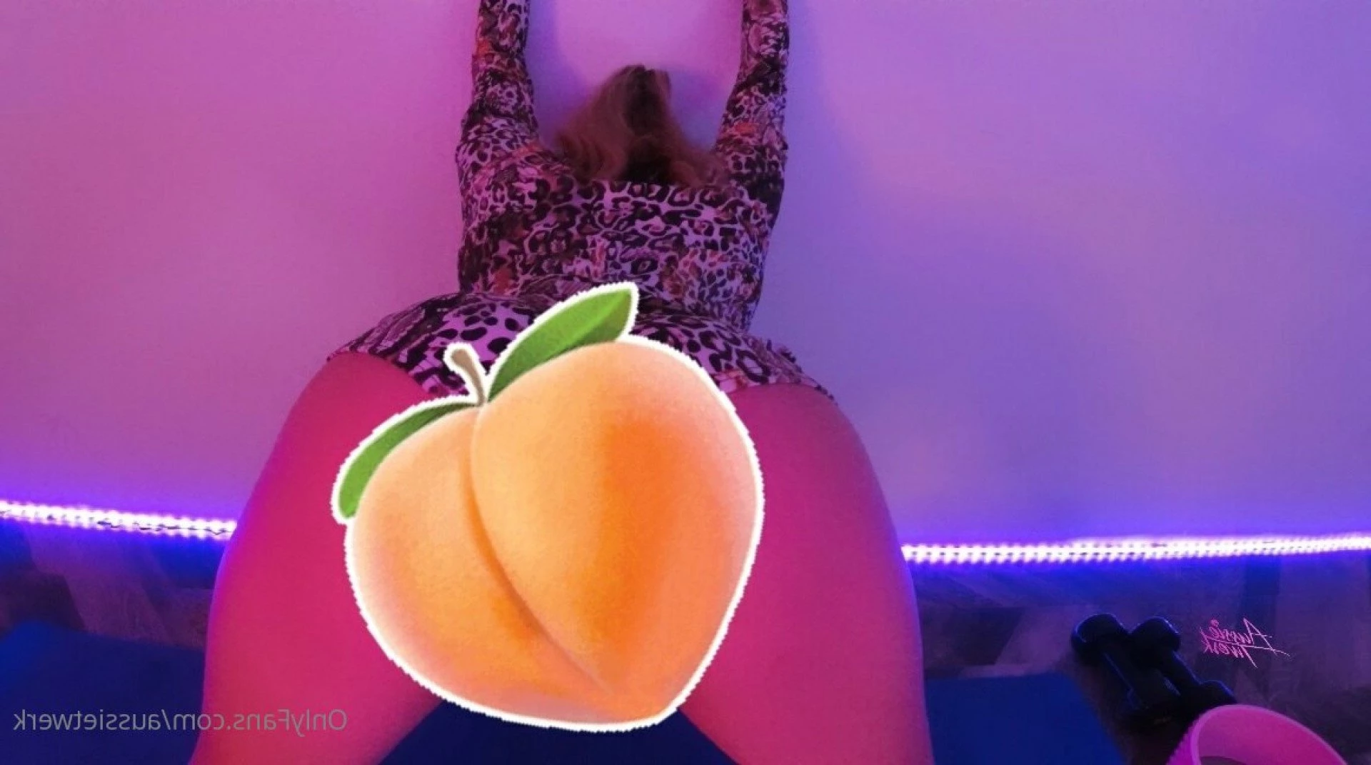 Aussie Twerk [ aussietwerk ] Onlyfans leaked photo 4059245 on Hotleaks.tv