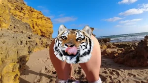 4859633