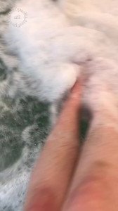 Rin ･ﾟ✧ [ awoozyyouth ] Onlyfans leaked video 3083520 on Hotleaks.tv
