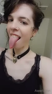 10646713