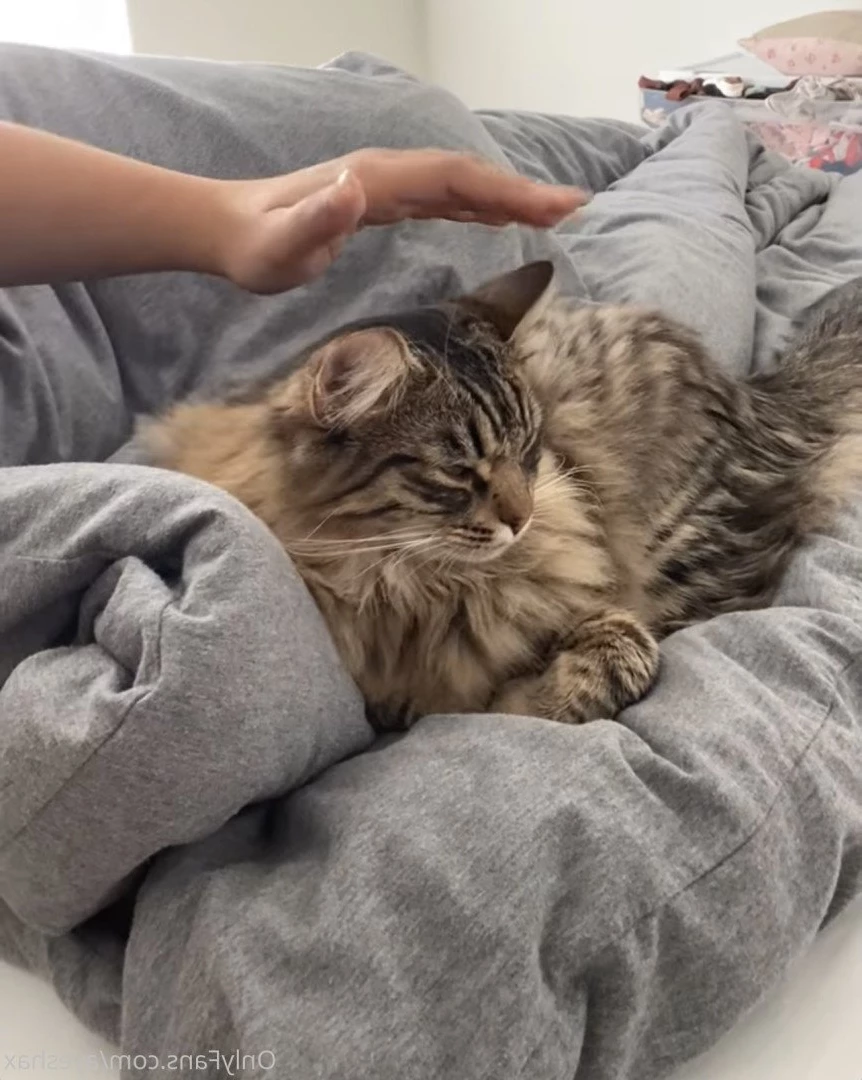 🍑Ayesha X [ ayeshax ] Onlyfans leaked photo 3832142 on Hotleaks.tv