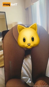 14655366