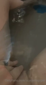 15260024