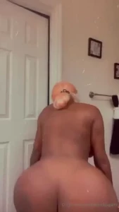 18455253
