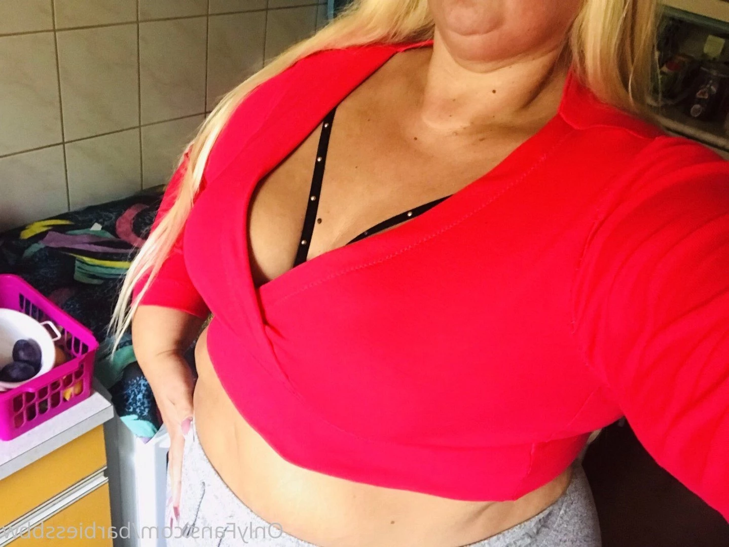 SSBBWBarbie [ barbiessbbw ] Onlyfans leaked photo 3418055 on Hotleaks.tv
