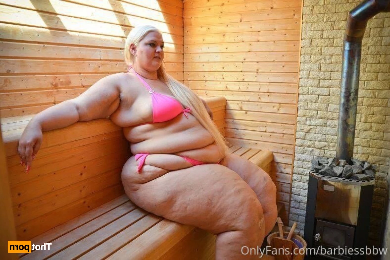 SSBBWBarbie [ barbiessbbw ] Onlyfans leaked photo 12557939 on Hotleaks.tv