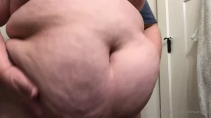 15671987