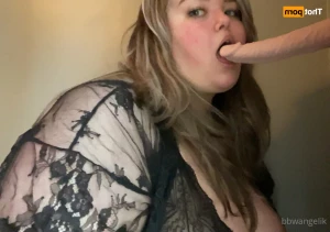 16220337