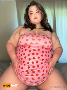 16286269