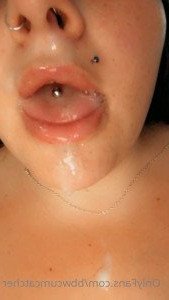 3097216