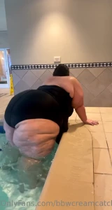 10646099
