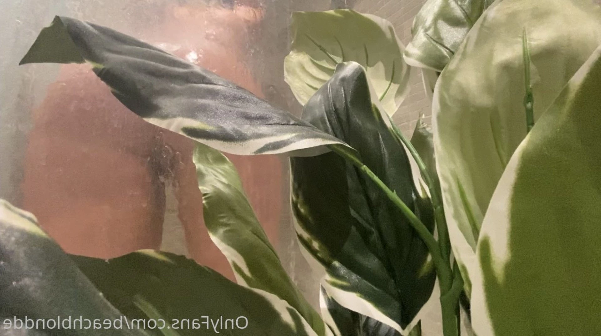 beachblondde Onlyfans leaked photo 3660369 on Hotleaks.tv