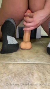 15362636