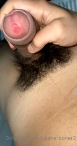 15362663