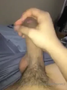 15362702