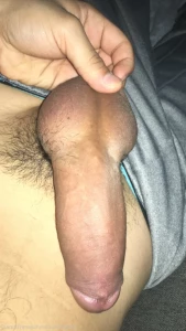 16299008