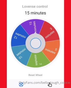 15254923
