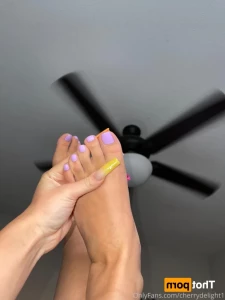 16203371