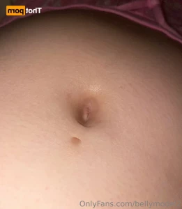 16134294