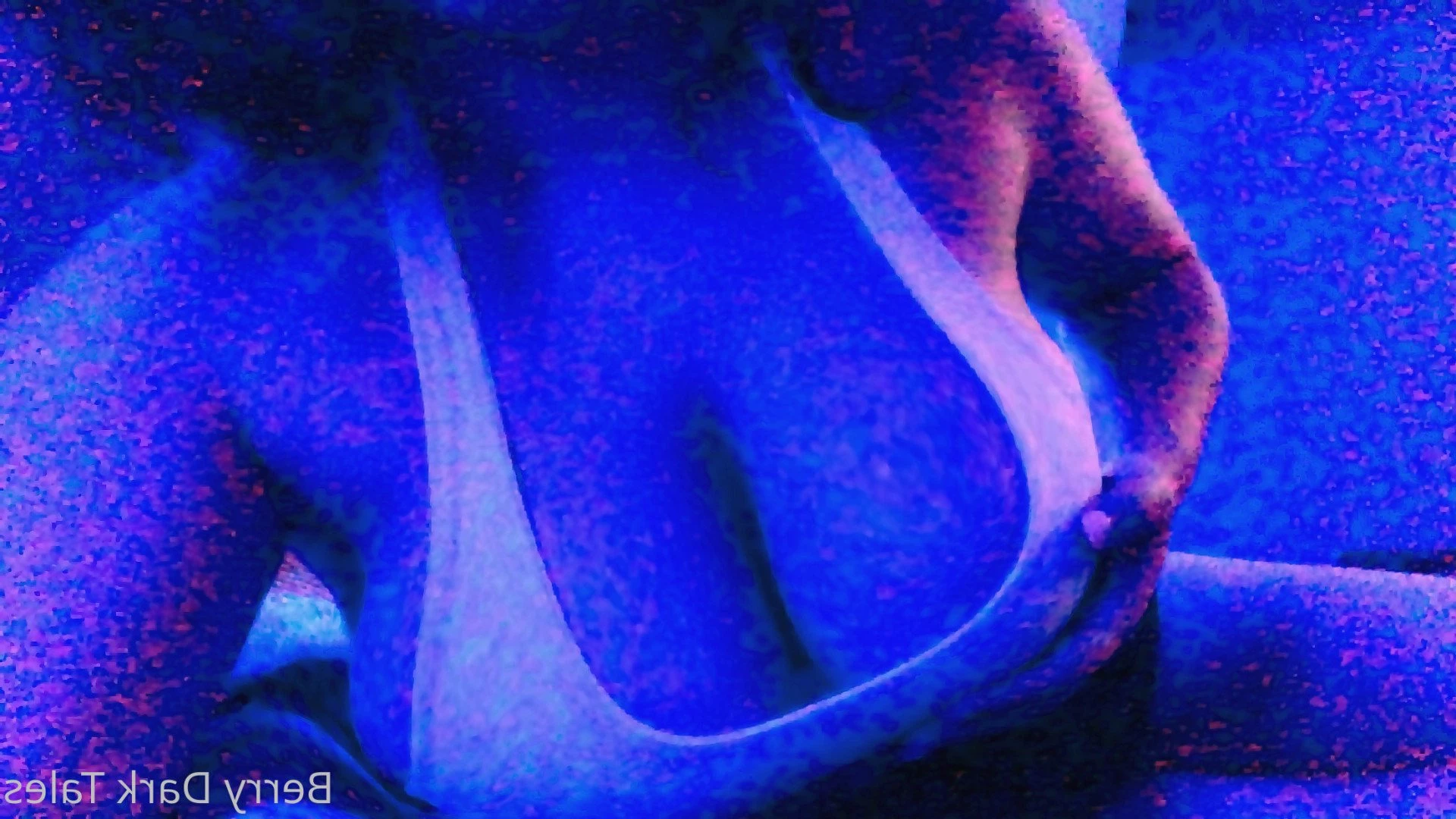 Berry Dark Tales [ berry.darktales ] Onlyfans leaked photo 4100797 on Hotleaks.tv