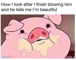 16248524