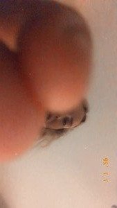 🎀 Big Bad Bee 🎀 [ bigbadbee ] Onlyfans leaked video 3119204 on Hotleaks.tv