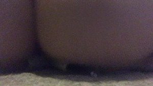 🎀 Big Bad Bee 🎀 [ bigbadbee ] Onlyfans leaked video 3119496 on Hotleaks.tv