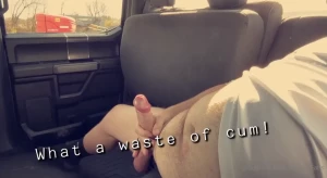 15530651
