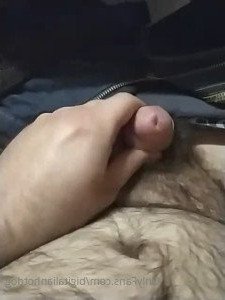 3123956
