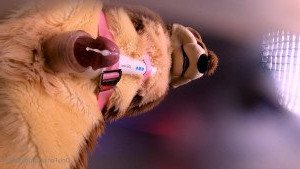 Big Pawbs [ bigpawbs ] Onlyfans leaked video 3124086 on Hotleaks.tv
